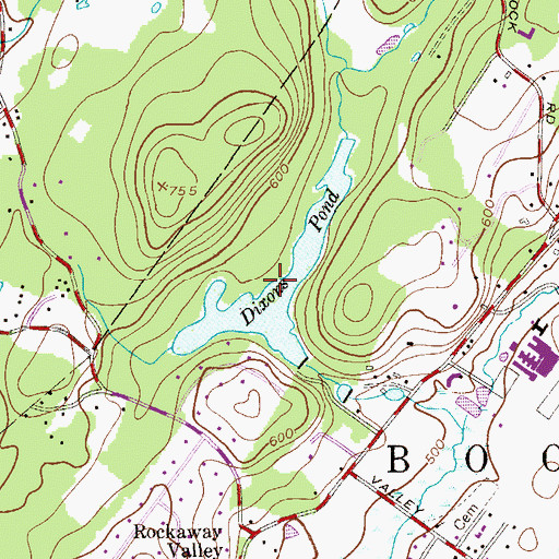 Topographic Map of Dixons Pond, NJ