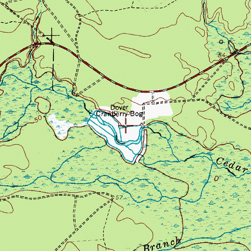 Topographic Map of Dover Cranberry Bog, NJ