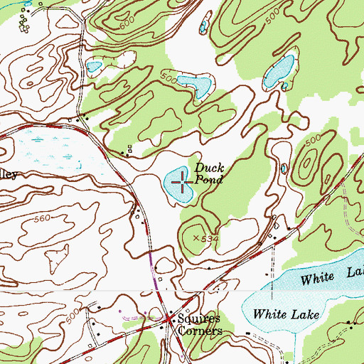 Topographic Map of Duck Pond, NJ