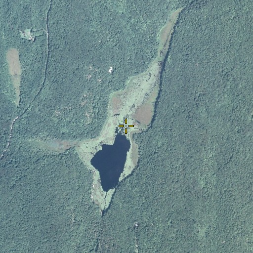 Aerial/Satellite Image of Dunker Pond, NJ