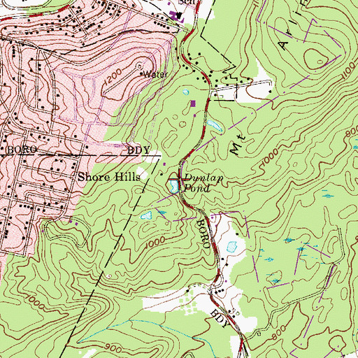Topographic Map of Dunlap Pond, NJ