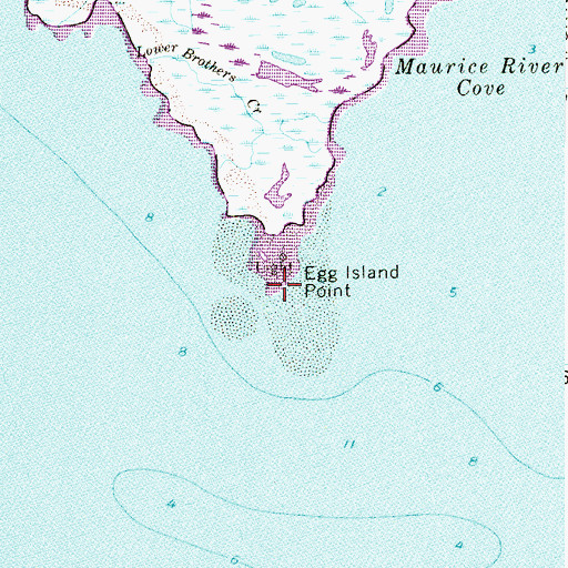 Topographic Map of Egg Island Point, NJ