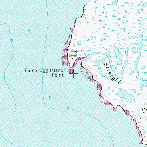 Topographic Map of False Egg Island Point, NJ