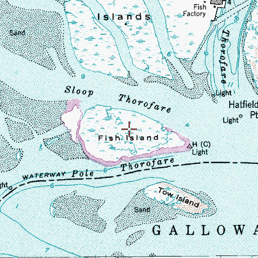 Topographic Map of Fish Island, NJ