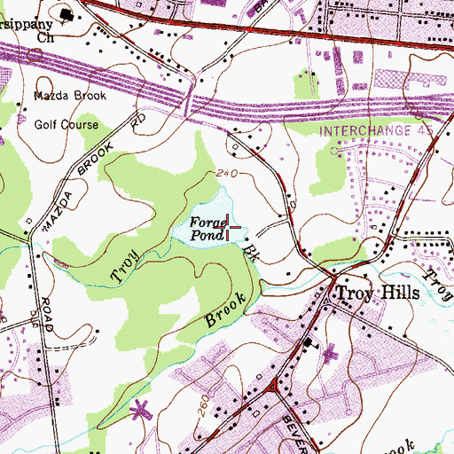 Topographic Map of Forge Pond, NJ