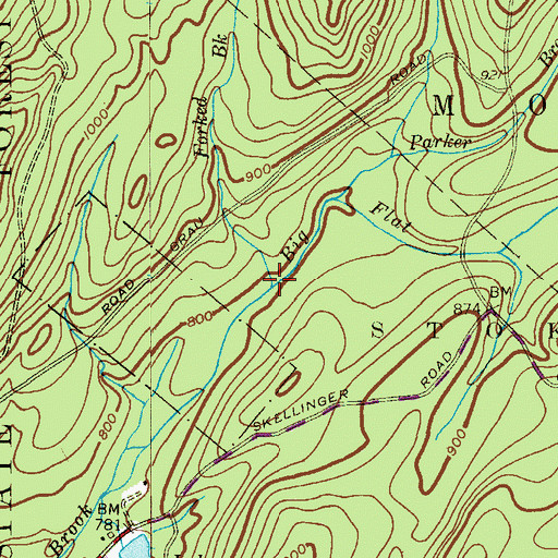 Topographic Map of Forked Brook, NJ