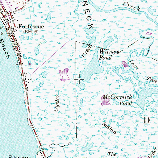 Topographic Map of Fortescue Creek, NJ