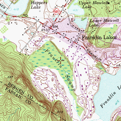 Topographic Map of Franklin Swamp, NJ