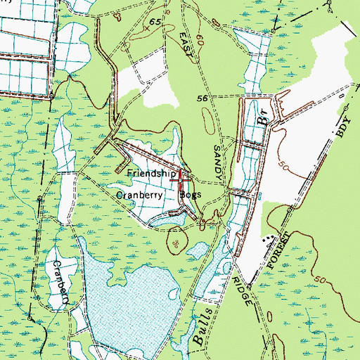 Topographic Map of Friendship Cranberry Bogs, NJ