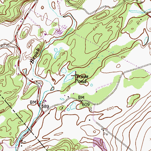 Topographic Map of Grass Pond, NJ