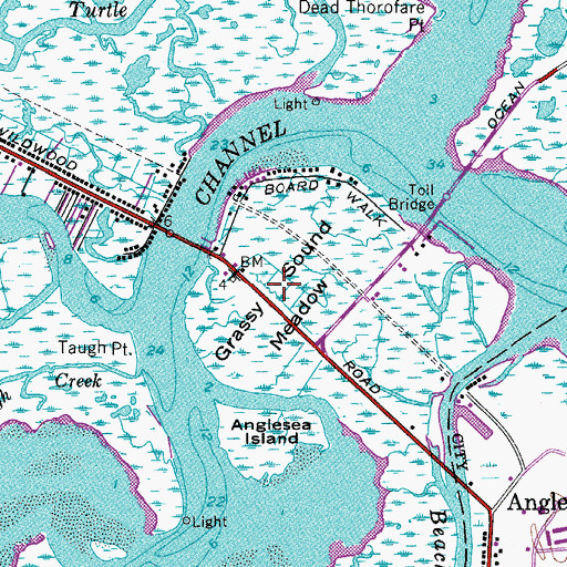 Topographic Map of Grassy Sound Meadow, NJ