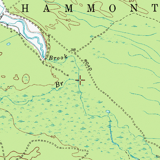 Topographic Map of Great Swamp Branch, NJ