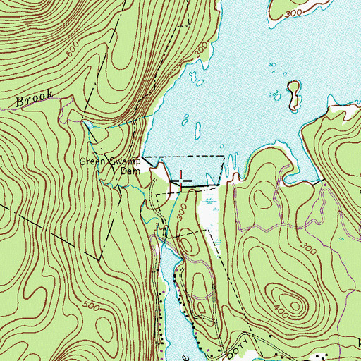 Topographic Map of Green Swamp Dam, NJ