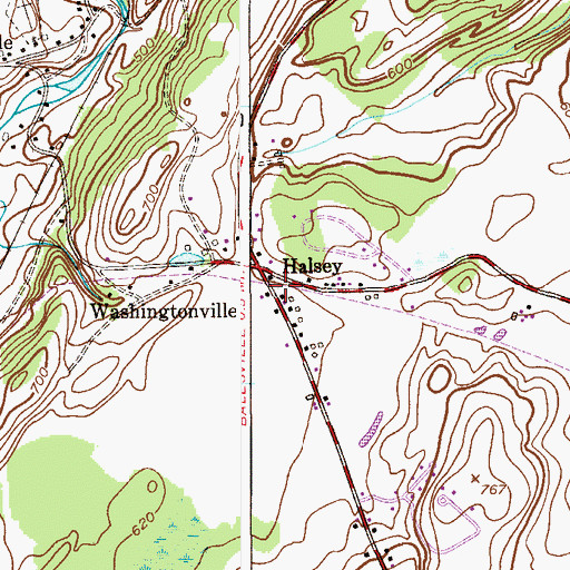 Topographic Map of Halsey, NJ