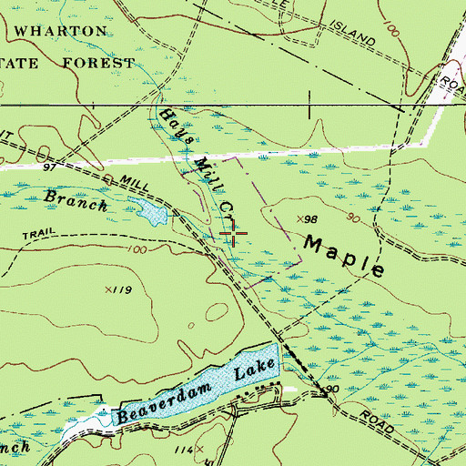 Topographic Map of Hays Mill Creek, NJ