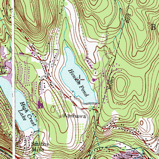 Topographic Map of Henion Pond, NJ