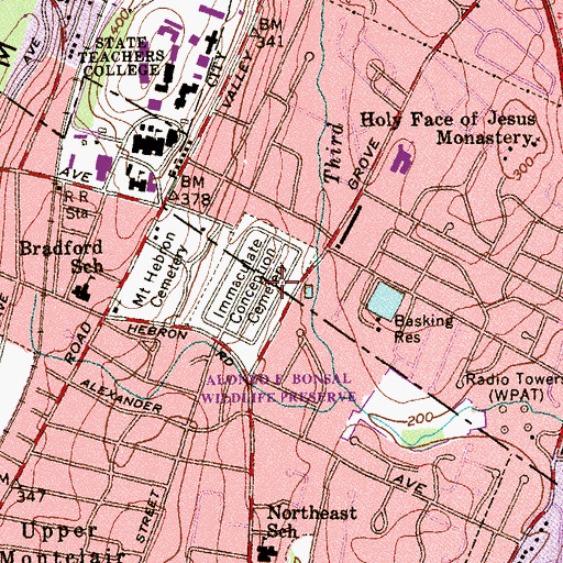 Topographic Map of Immaculate Conception Cemetery, NJ