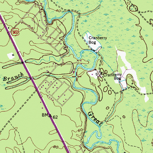 Topographic Map of Indian Branch, NJ