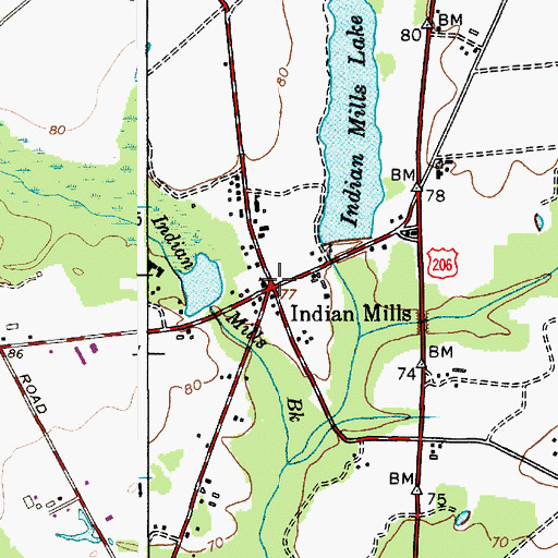Topographic Map of Indian Mills, NJ