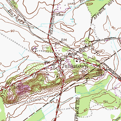 Topographic Map of Juliustown, NJ