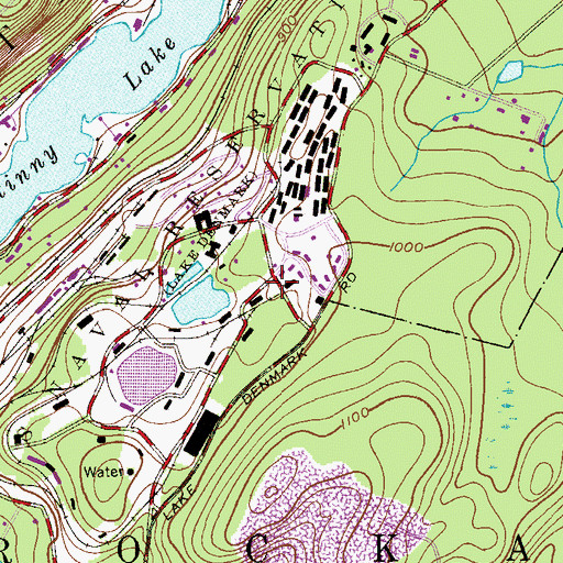 Topographic Map of Lake Denmark, NJ