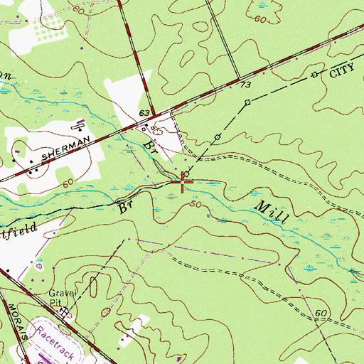 Topographic Map of Lebanon Branch, NJ