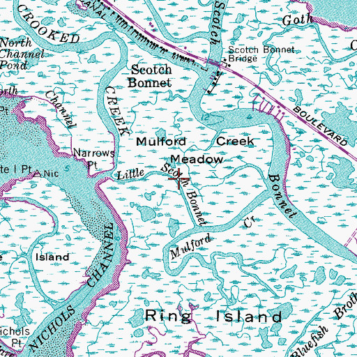 Topographic Map of Little Scotch Bonnet, NJ