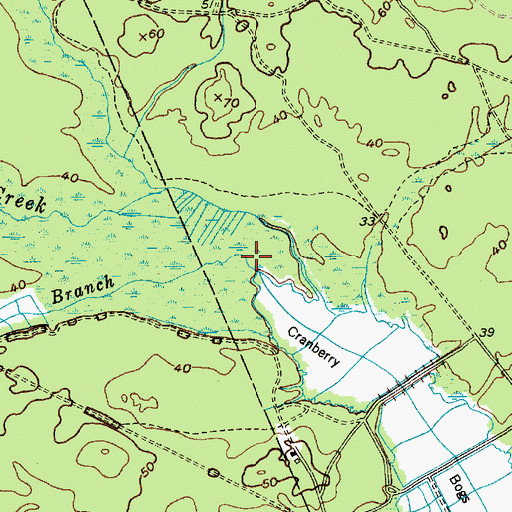 Topographic Map of Log Swamp Branch, NJ