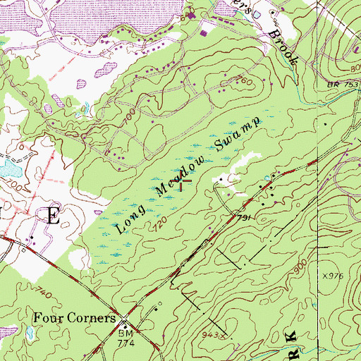 Topographic Map of Long Meadow Swamp, NJ