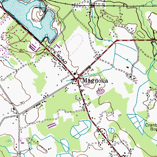 Topographic Map of Magnolia, NJ