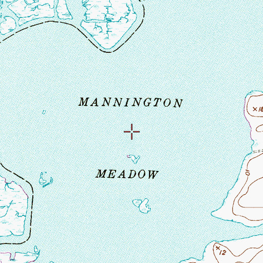 Topographic Map of Mannington Meadow, NJ