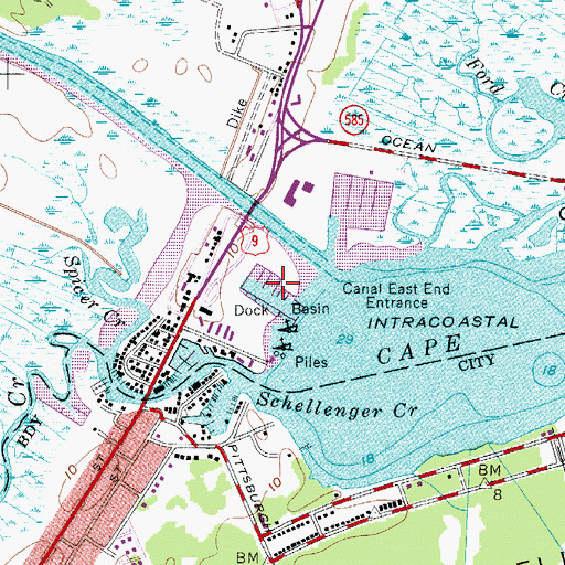 Topographic Map of Cape Island Marina, NJ