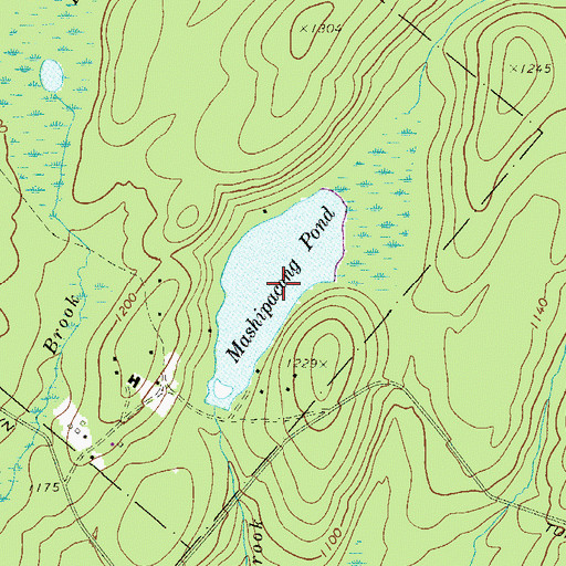 Topographic Map of Mashipacong Pond, NJ
