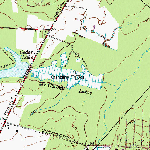 Topographic Map of McCarthys Lakes, NJ