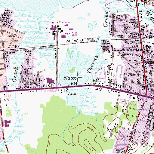 Topographic Map of Natco Lake, NJ