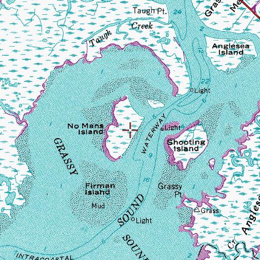 Topographic Map of No Mans Island, NJ