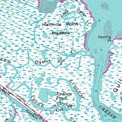 Topographic Map of Oyster Creek, NJ