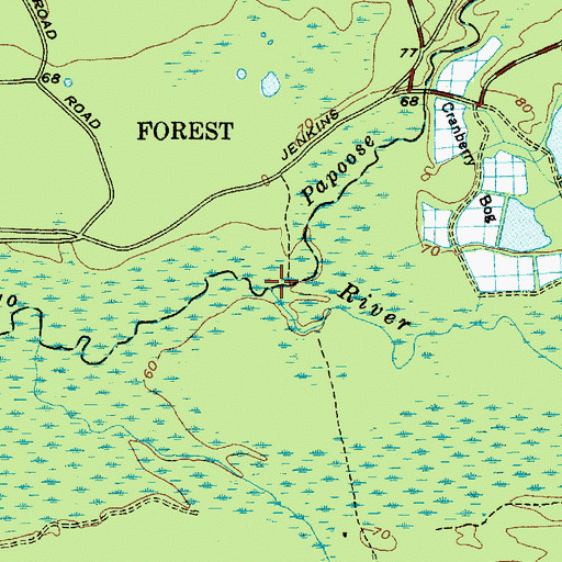 Topographic Map of Papoose Branch, NJ