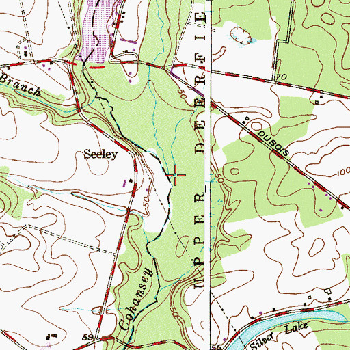 Topographic Map of Parsonage Run, NJ