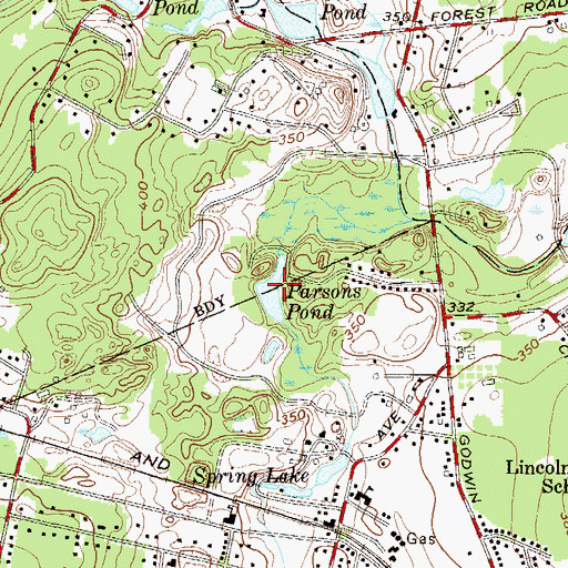 Topographic Map of Parsons Pond, NJ
