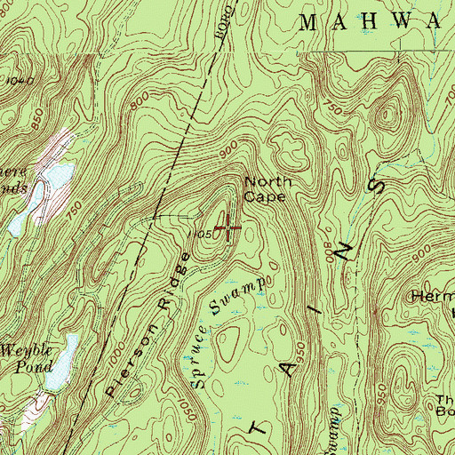Topographic Map of Pierson Ridge, NJ
