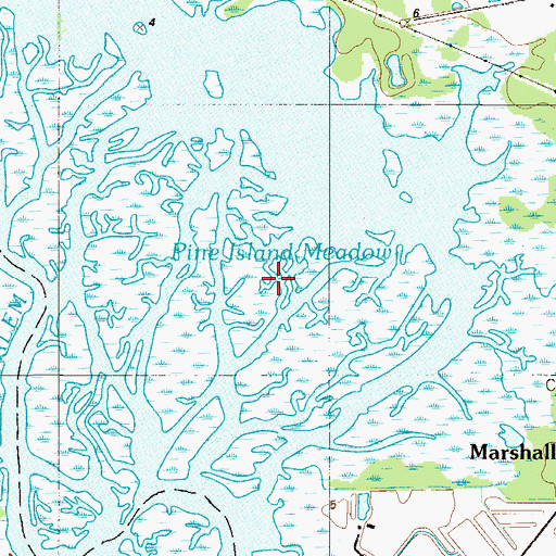Topographic Map of Pine Island Meadow, NJ