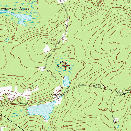 Topographic Map of Pine Swamp, NY
