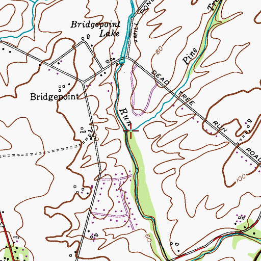 Topographic Map of Pine Tree Run, NJ