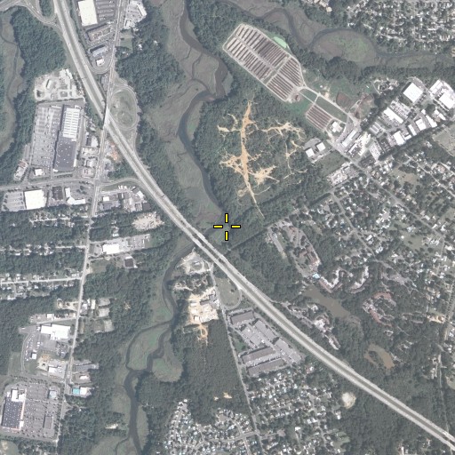 Aerial/Satellite Image of Pines Run, NJ