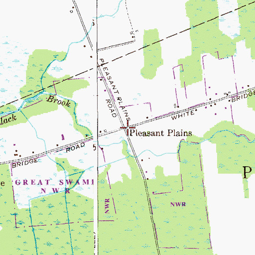 Topographic Map of Pleasant Plains, NJ