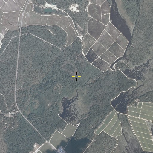Aerial/Satellite Image of Pole Branch, NJ