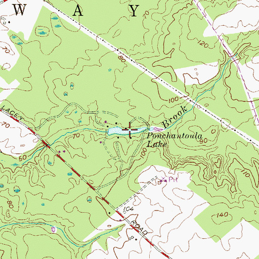 Topographic Map of Ponchantoula Lake, NJ