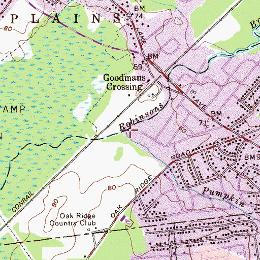 Topographic Map of Pumpkin Patch Brook, NJ