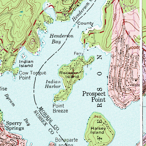 Topographic Map of Raccoon Island, NJ